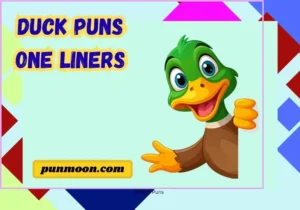 Duck Puns One Liners