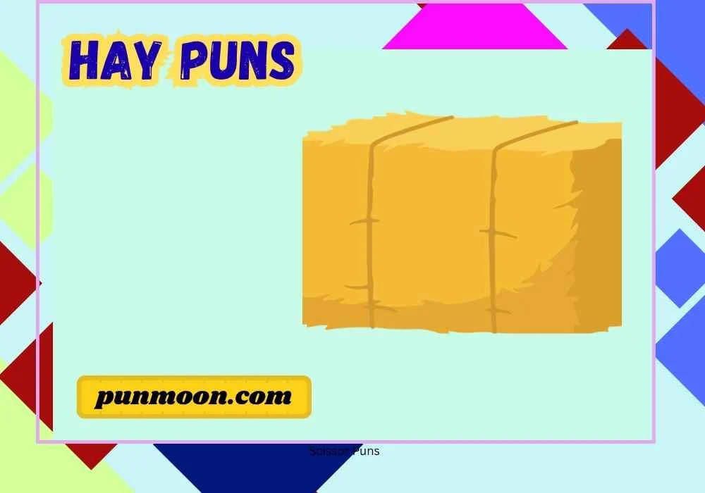 Hay Puns