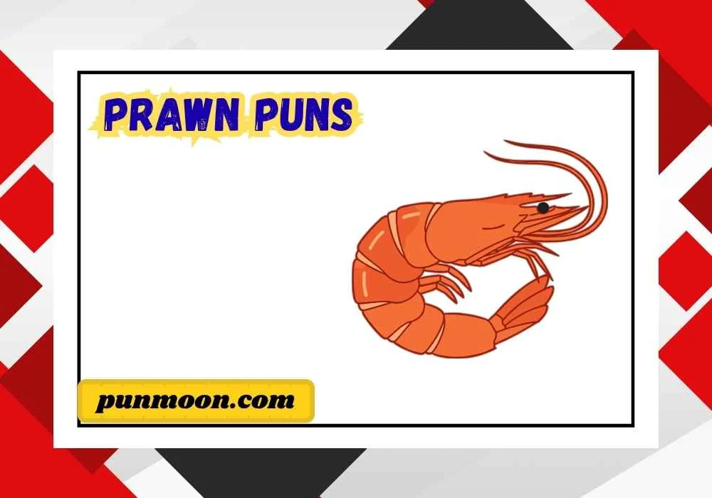 Prawn Puns