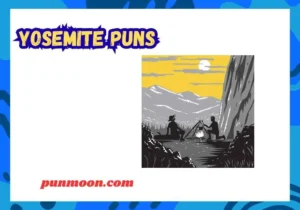 Yosemite Puns