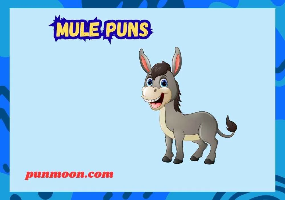 Mule Puns