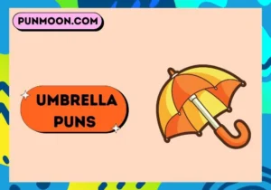 Umbrella Puns