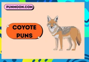 coyote puns