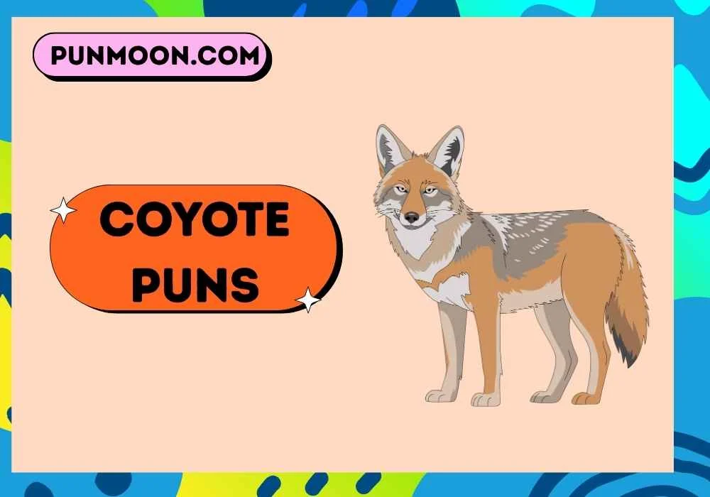 coyote puns