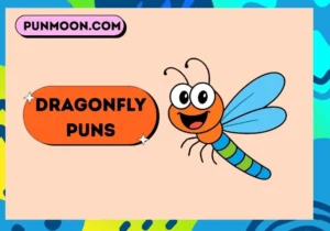 Dragonfly Puns