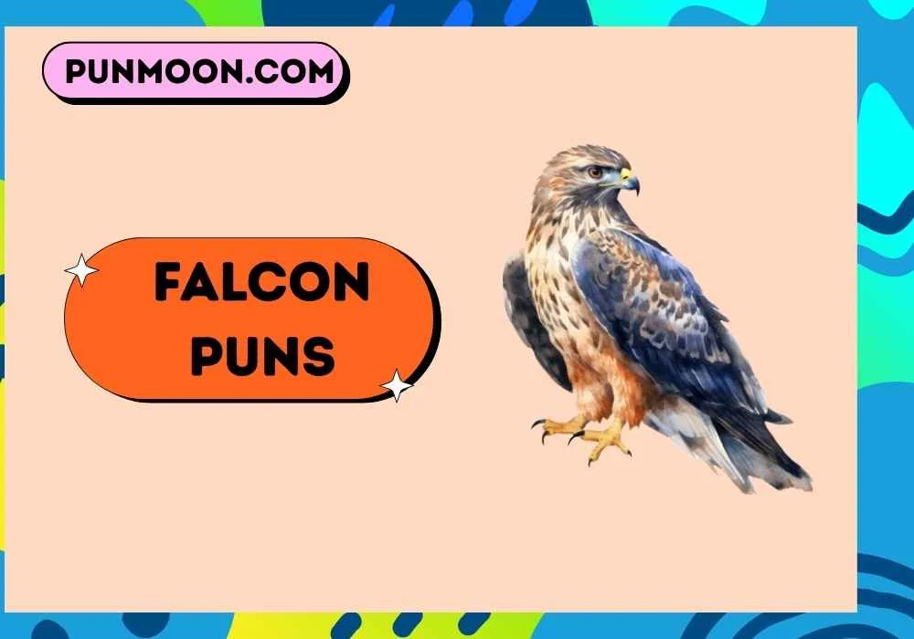 Falcon Puns