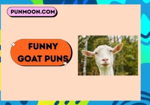 Funny Goat Puns