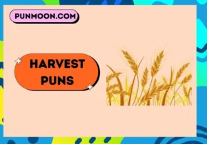 Harvest puns