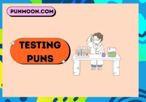 Testing Puns
